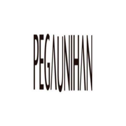 PT. Pegatron Technology Indonesia